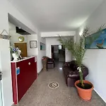 Ametist Casa Leului Guest house 3*