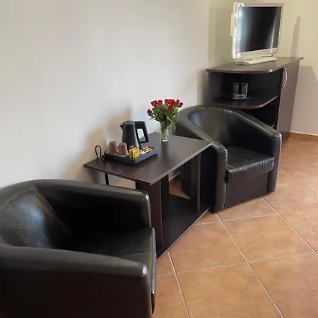 Ametist Casa Leului 3*