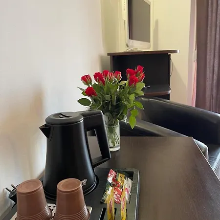 Casa Leului Maison d'hôtes Năvodari