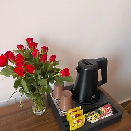 Ametist Casa Leului ゲストハウス