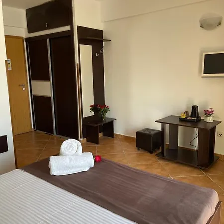 Ametist Casa Leului Affittacamere