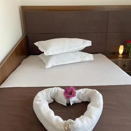 Ametist Casa Leului 3*