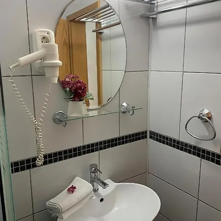 게스트하우스 Ametist Casa Leului