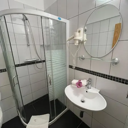 Ametist Casa Leului 게스트하우스 3*