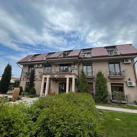 Gæstehus Ametist Casa Leului Năvodari