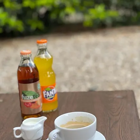 Ametist Casa Leului بيت ضيافة 3*