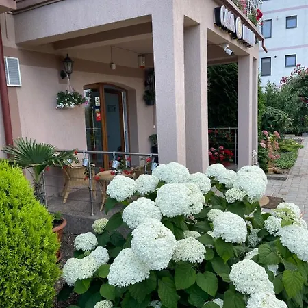 Ametist Casa Leului Guest house 3*