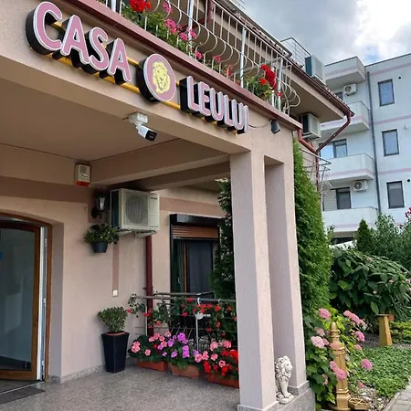 Ametist Casa Leului Нэводари