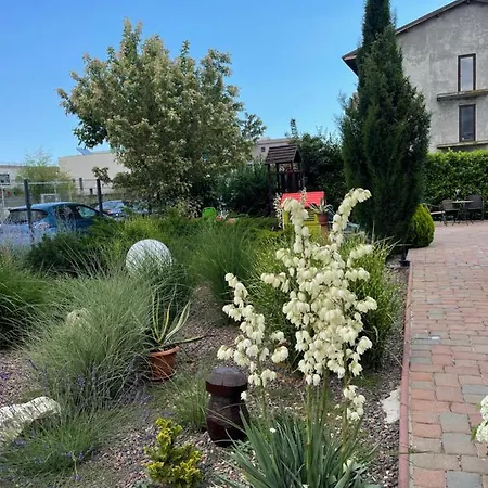 Casa Leului 3* Năvodari