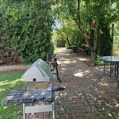 Ametist Casa Leului Affittacamere Năvodari