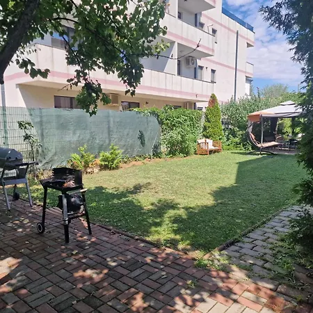 Ametist Casa Leului