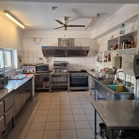 Ametist Casa Leului Affittacamere