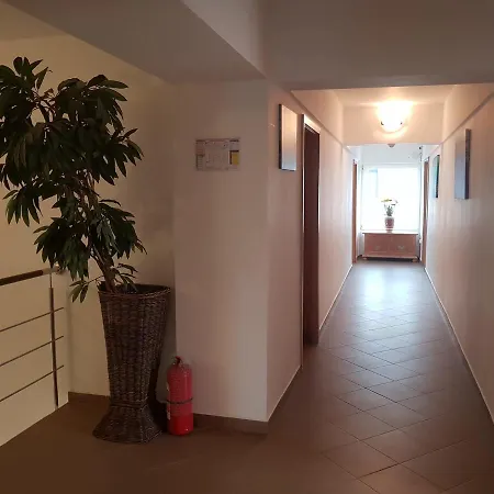 Ametist Casa Leului Năvodari