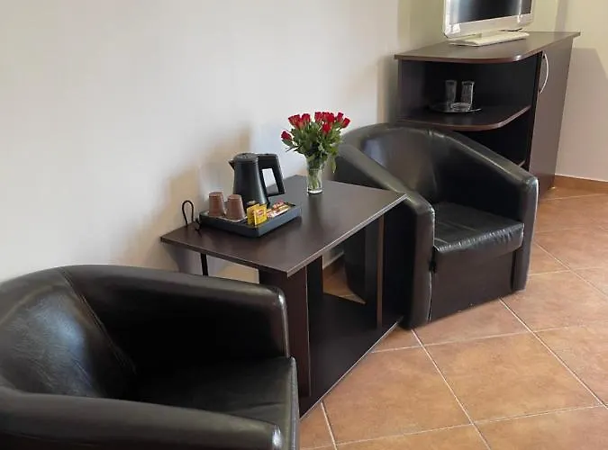 Ametist Casa Leului 3*