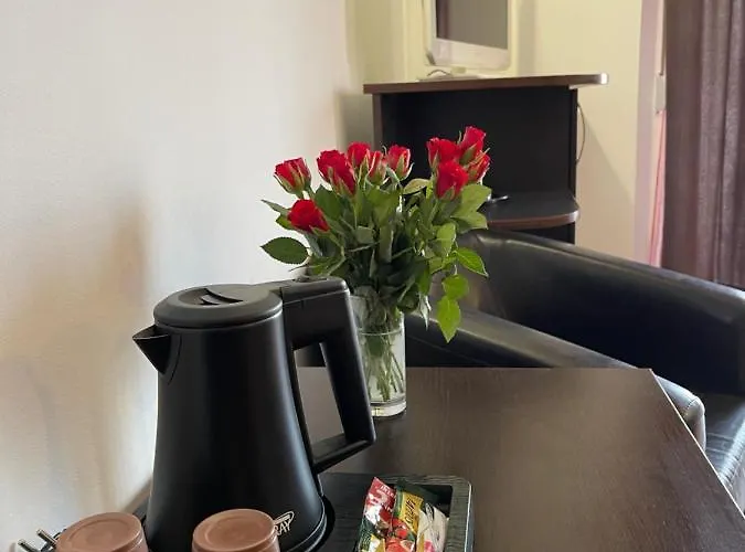 Ametist Casa Leului Гостевой дом Нэводари