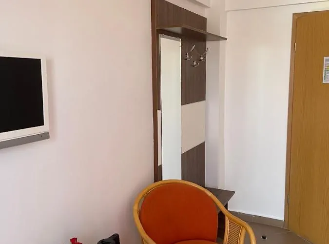 Гостевой дом Ametist Casa Leului Нэводари