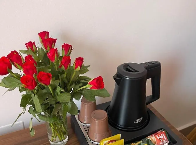 Ametist Casa Leului Гостевой дом