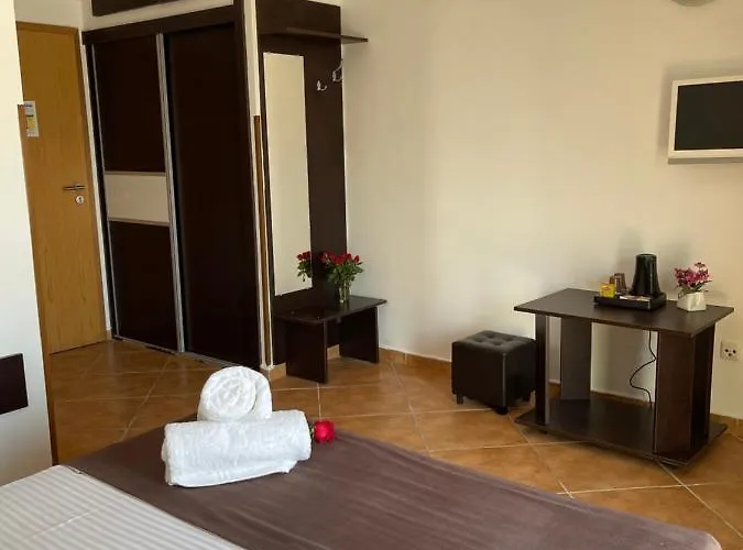 Ametist Casa Leului Гостевой дом