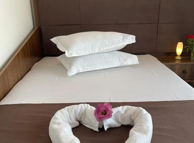 Ametist Casa Leului 3*