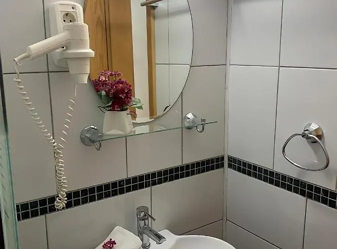 Гостевой дом Ametist Casa Leului