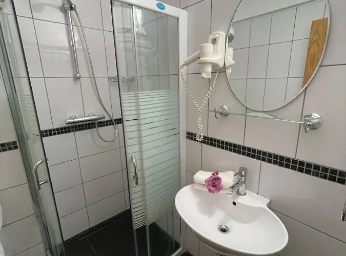 Ametist Casa Leului Гостевой дом 3*