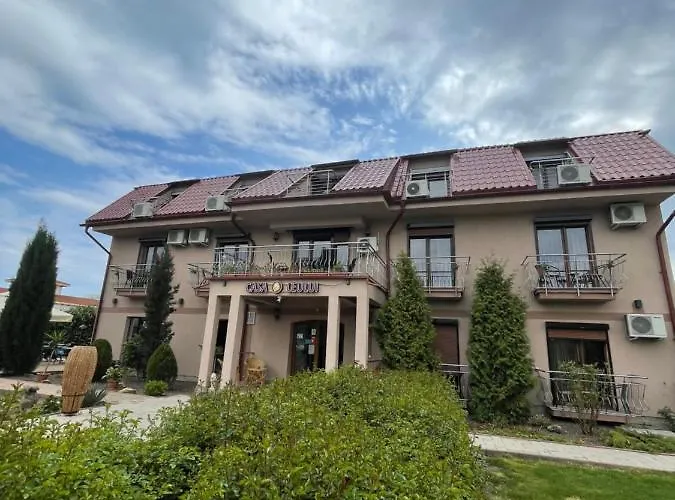 Гостевой дом Ametist Casa Leului Нэводари