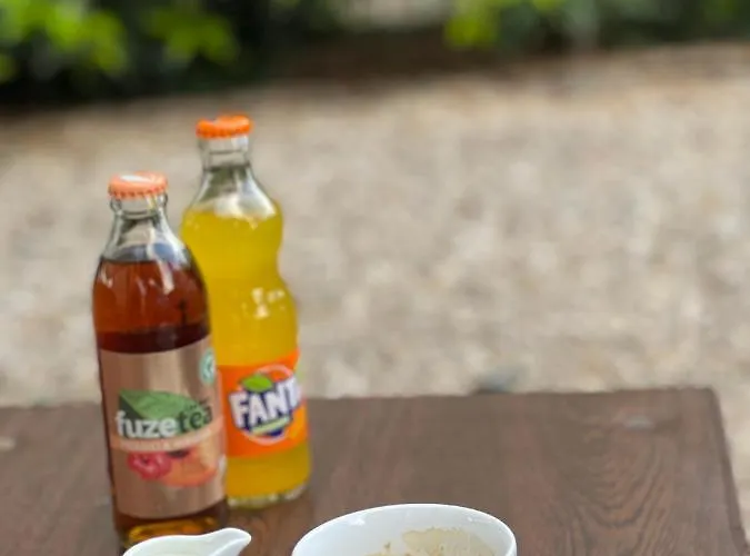 Ametist Casa Leului Гостевой дом 3*