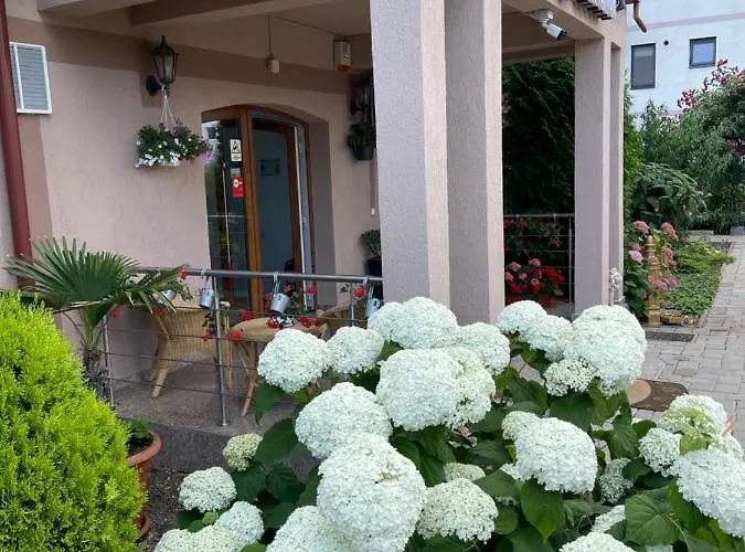 Ametist Casa Leului Гостевой дом 3*