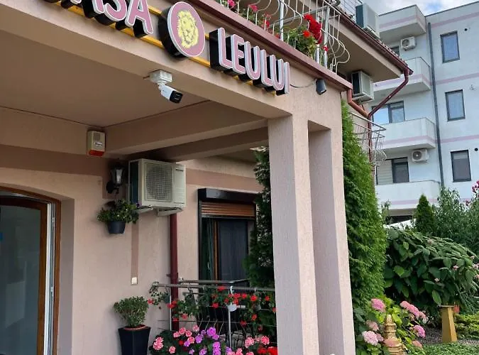 Ametist Casa Leului Нэводари