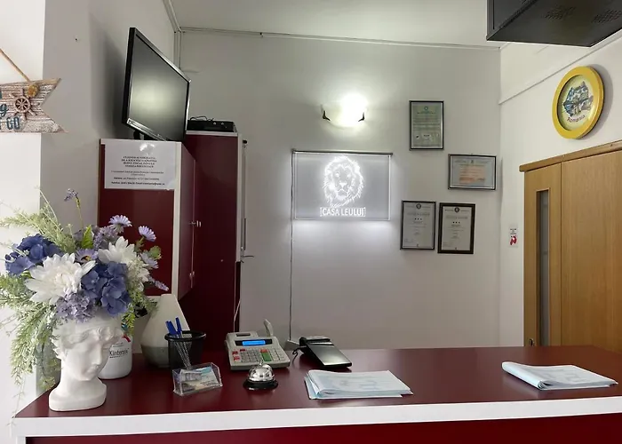 Ametist Casa Leului Гостевой дом