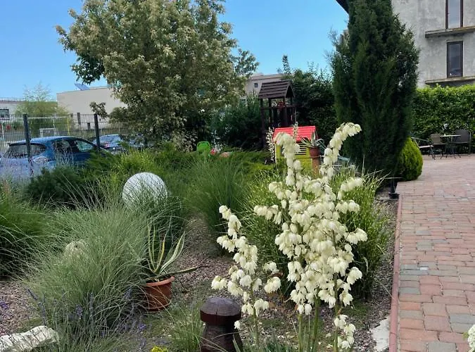 Ametist Casa Leului 3* Нэводари