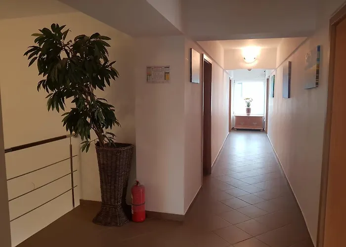 Ametist Casa Leului Нэводари